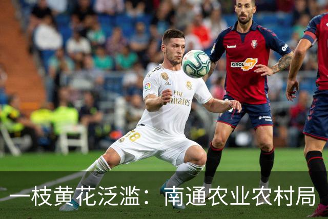 一枝黄花泛滥：南通农业农村局“看不见”，还是装瞎？