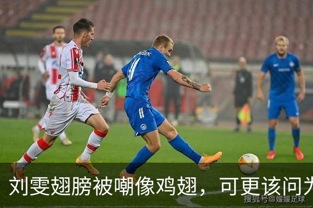 刘雯翅膀被嘲像鸡翅，可更该问为何十年仅两副？