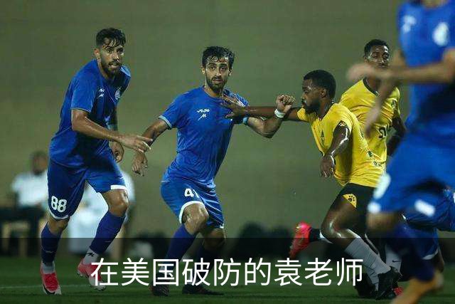 在美国破防的袁老师