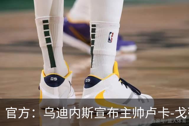 官方：乌迪内斯宣布主帅卢卡-戈蒂下课 战绩不佳