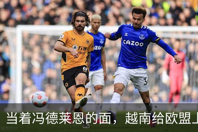 当着冯德莱恩的面，越南给欧盟上了一课：这就是“中国力量”