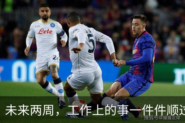 未来两周，工作上的事一件件顺过来的三个星座，别再着急