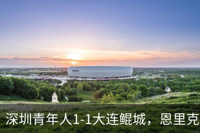 深圳青年人1-1大连鲲城，恩里克破门，穆谢奎倒钩建功
