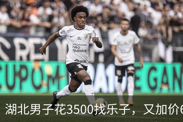 湖北男子花3500找乐子，又加价6500喊闺蜜一起玩三人行引来官司…