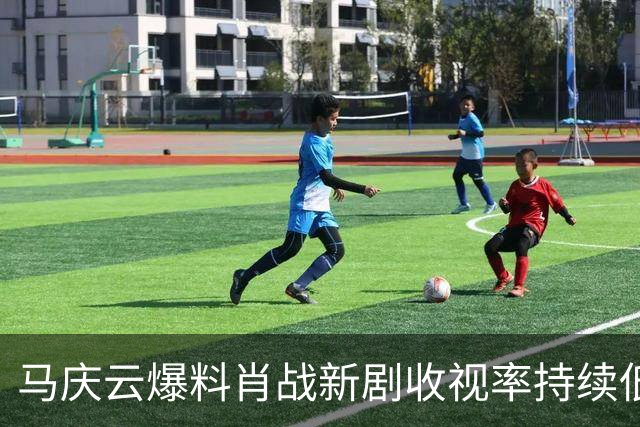 马庆云爆料肖战新剧收视率持续低迷！认定肖战要负责，演技不过关