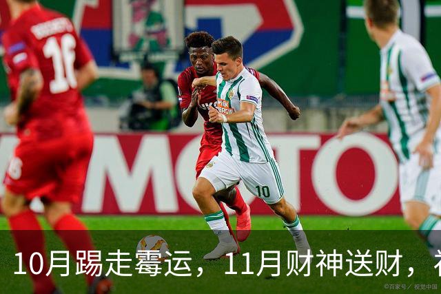 10月踢走霉运，11月财神送财，福气上门，咸鱼翻身大赚特赚的生肖