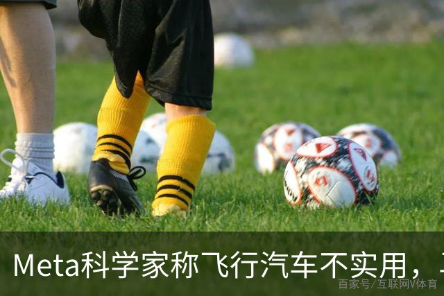 Meta科学家称飞行汽车不实用，马斯克：我朝你放屁