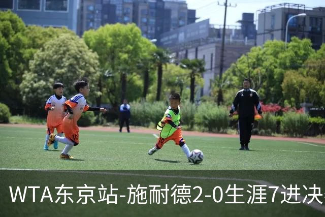 WTA东京站-施耐德2-0生涯7进决赛 将与费尔南德斯争冠